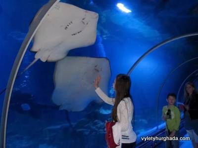 Grand-Aquarium-Hurghada-Velké-akvárium-Hurghada-cena-akvárium-v-Hurghadě-v-Egyptě