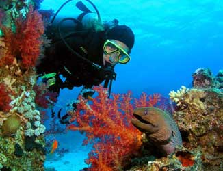 Potápění-Hurghada-Kurzy-potápění-Padi-potápění-v-Rudém-moři-Potápěčské-centrum-Rudého-moře-Hurghada-diving-courses