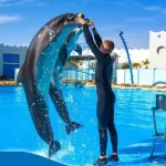 Delfinarium-sharm-el-sheikh