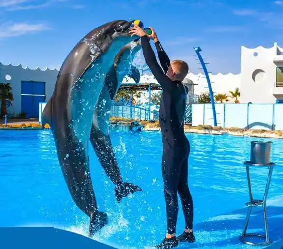 Delfinarium-sharm-el-sheikh