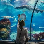 Grand-Akvarium-Hurghada-Grand-aquarium-vstupni-listek-Vylet-grand-Aquarium-Hurghada-velke-akvarium-Vylety-v-Rude-more