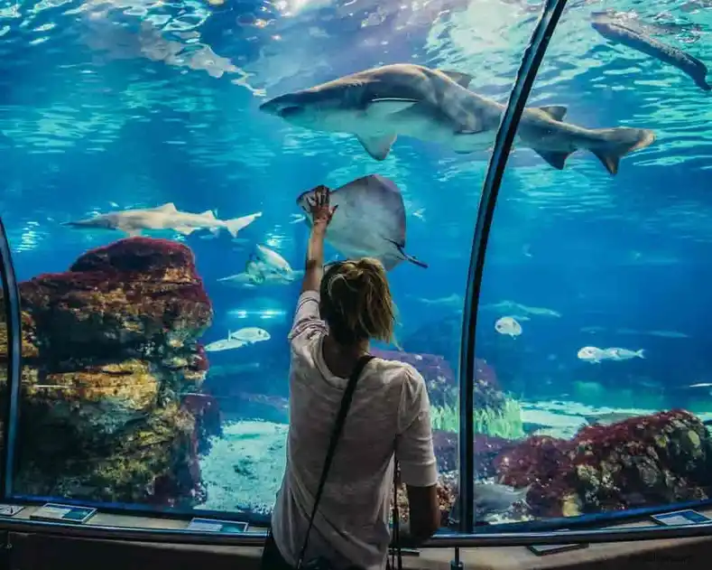Grand-Akvarium-Hurghada-Grand-aquarium-vstupni-listek-Vylet-grand-Aquarium-Hurghada-velke-akvarium-Vylety-v-Rude-more